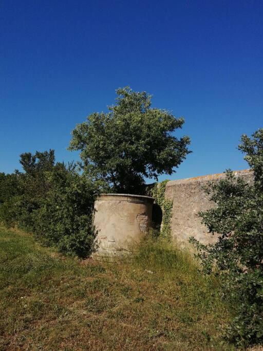 Le Soleil D Eugenie Appartement Dans Residence Avec Piscine Commune Pres De Carcassonne Olonzac ภายนอก รูปภาพ