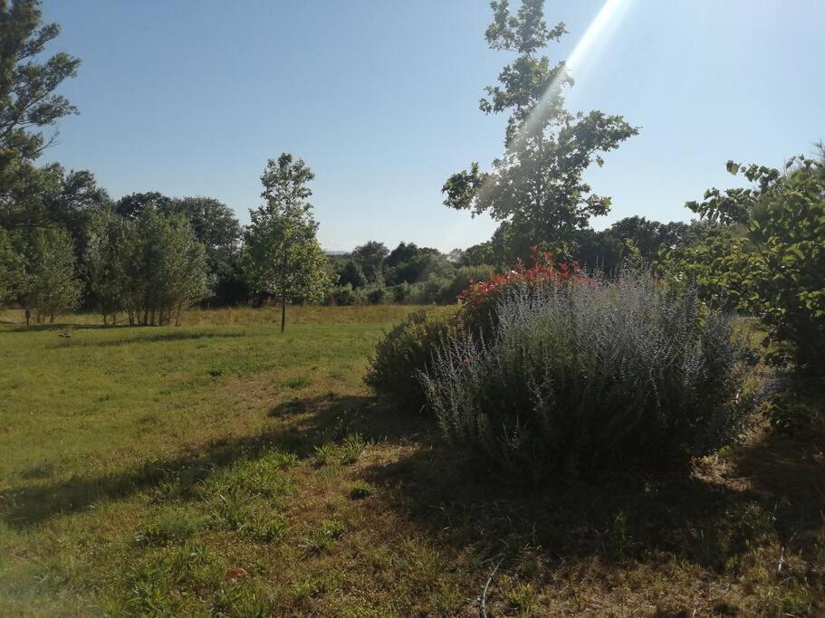 Le Soleil D Eugenie Appartement Dans Residence Avec Piscine Commune Pres De Carcassonne Olonzac ภายนอก รูปภาพ
