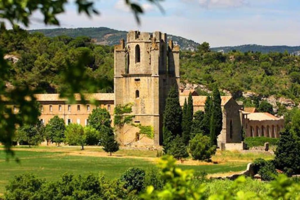 Le Soleil D Eugenie Appartement Dans Residence Avec Piscine Commune Pres De Carcassonne Olonzac ภายนอก รูปภาพ
