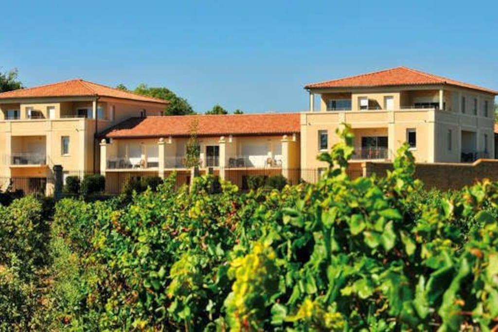 Le Soleil D Eugenie Appartement Dans Residence Avec Piscine Commune Pres De Carcassonne Olonzac ภายนอก รูปภาพ