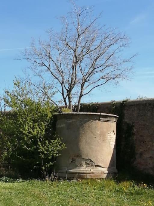 Le Soleil D Eugenie Appartement Dans Residence Avec Piscine Commune Pres De Carcassonne Olonzac ภายนอก รูปภาพ