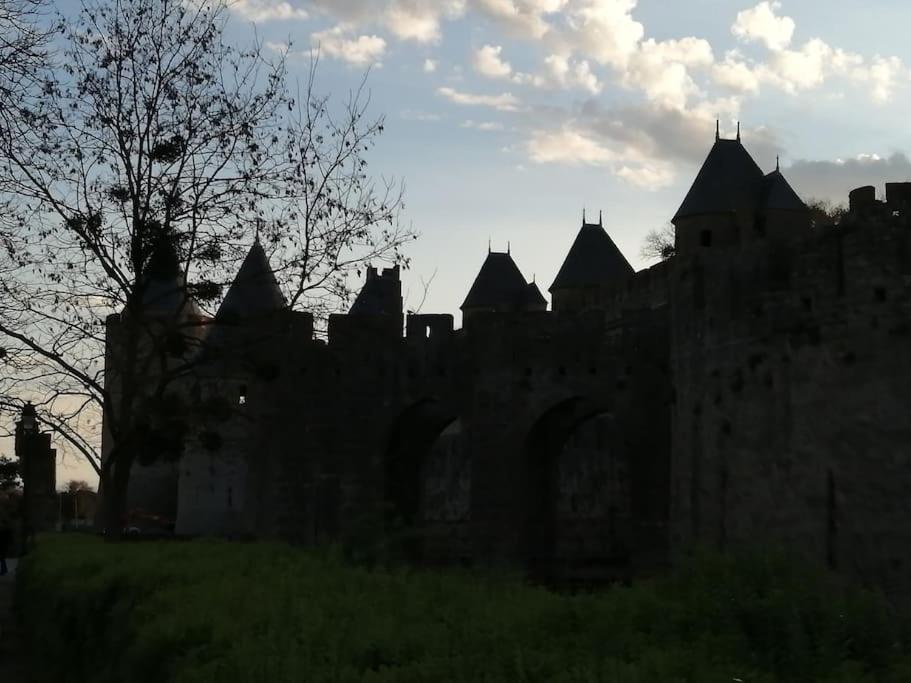 Le Soleil D Eugenie Appartement Dans Residence Avec Piscine Commune Pres De Carcassonne Olonzac ภายนอก รูปภาพ