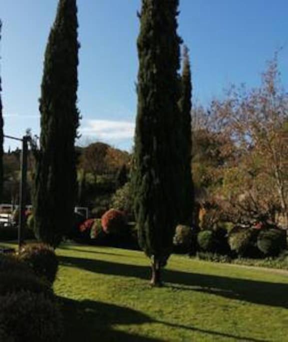 Le Soleil D Eugenie Appartement Dans Residence Avec Piscine Commune Pres De Carcassonne Olonzac ภายนอก รูปภาพ