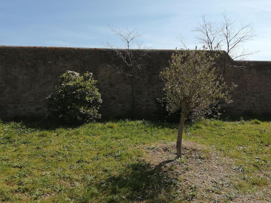 Le Soleil D Eugenie Appartement Dans Residence Avec Piscine Commune Pres De Carcassonne Olonzac ภายนอก รูปภาพ